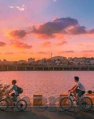 彩客足球足球比分-彩客足球足球比分，球迷与彩民的数据宝库