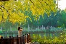 乐鱼体育安全嘛-乐鱼体育安全性的全面考量